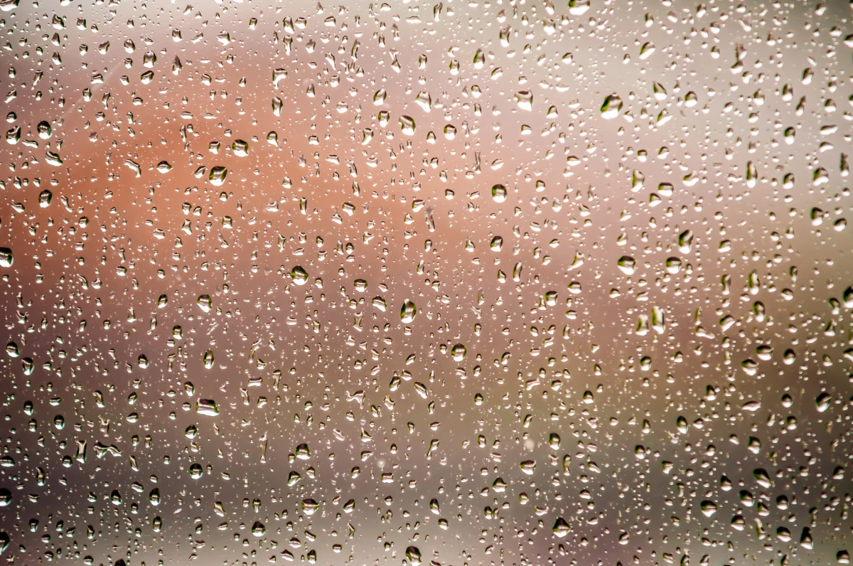 Humidité dans le logement : causes, conséquences et solutions